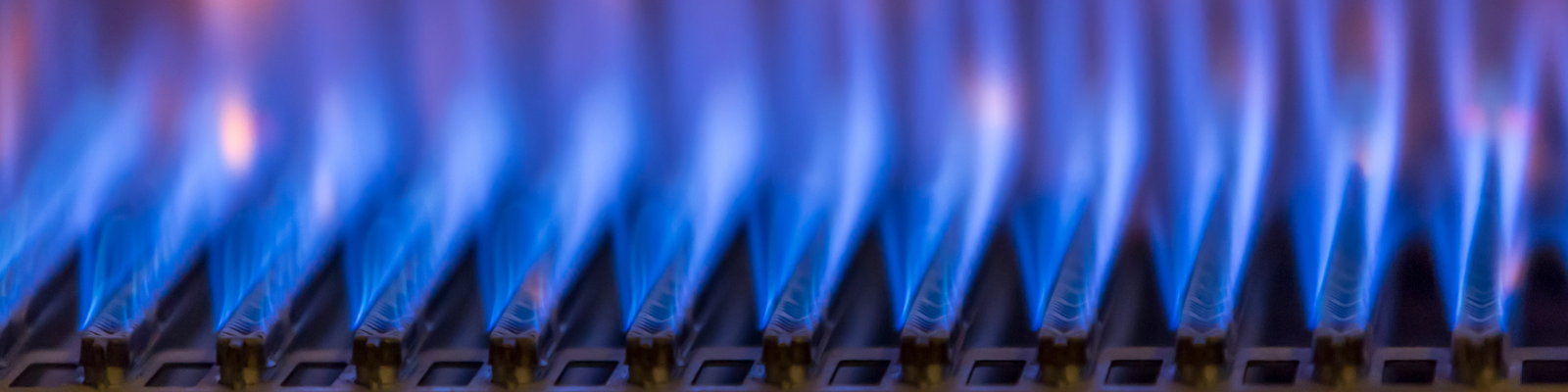 Burner Management Systems