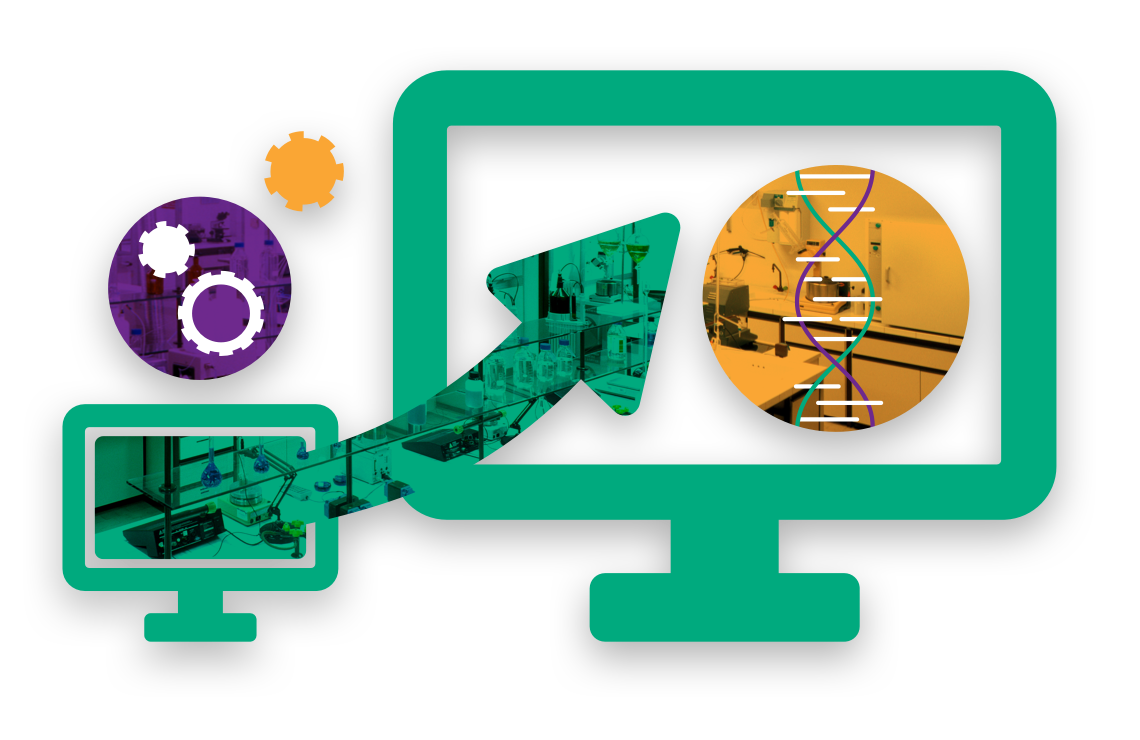 Develop Your IT Foundation